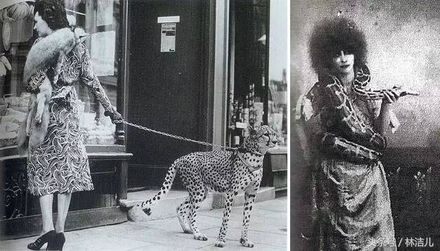 单打独斗设计师,单打独斗还是强强联手