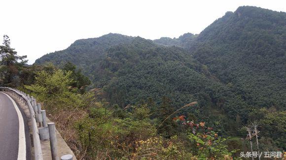 骑着雅马哈踏板摩托车周游世界,骑雅马哈天剑125回家