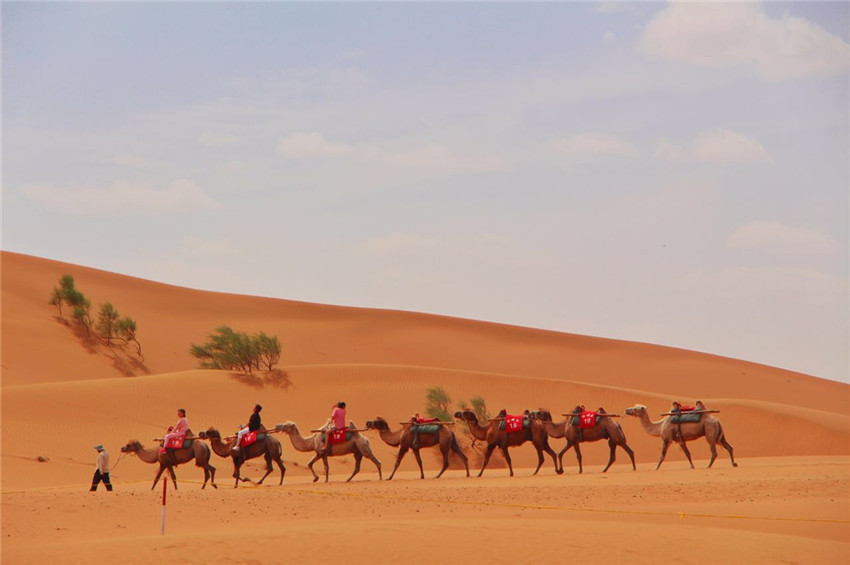 宁夏沙坡头旅游视频,宁夏中卫沙坡头旅游攻略