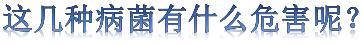 你不知道的几种有害病菌，每天生存在这里，可能导致不孕！