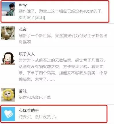 铝盆和鸡窝卖断货了，看猫咪用品创业商机
