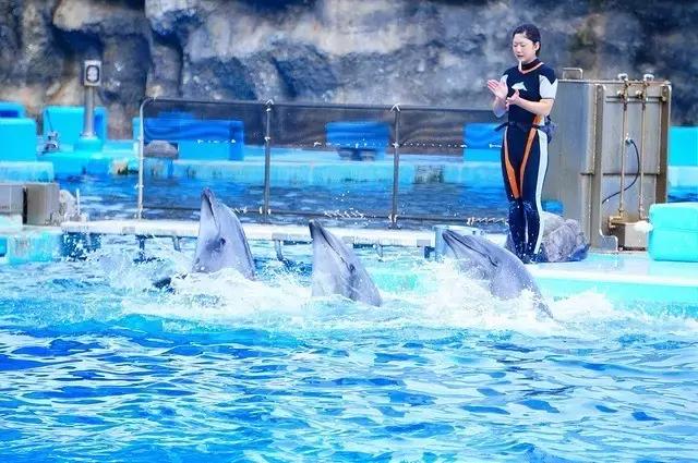 名古屋鳗鱼饭菜单三人套餐,名古屋美食旅游攻略