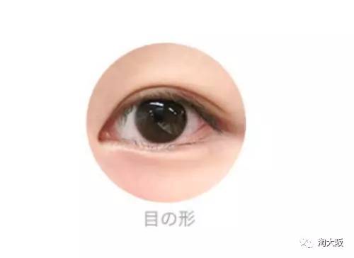 美妆睫毛夹推荐哪款好用又实惠,美妆工具好物推荐卷发