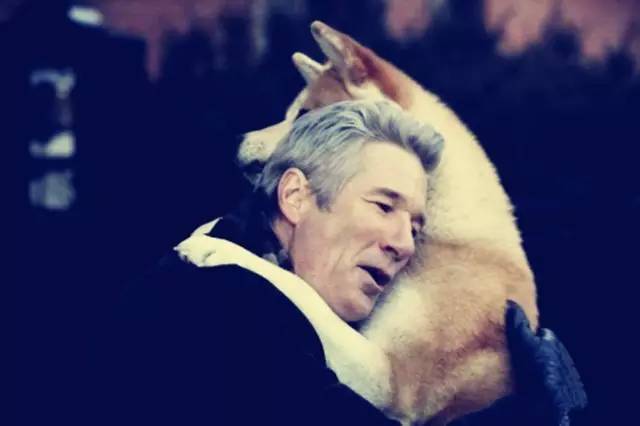 小蓝看电视剧全集,小蓝看电影