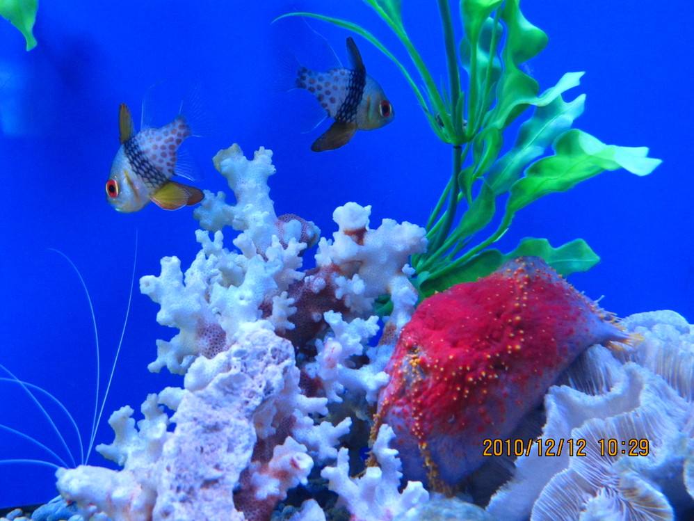 秦皇岛海港区旅游推荐,秦皇岛海港区一天旅游攻略