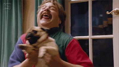 巴哥委屈吗,巴哥眼里泪汪汪的怎么回事