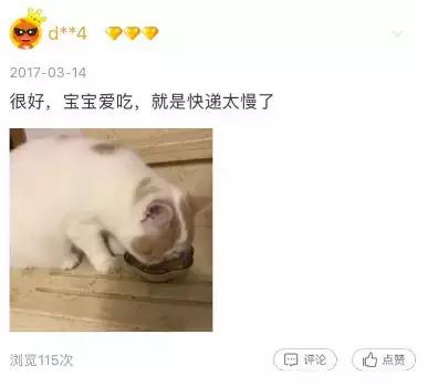 铝盆和鸡窝卖断货了，看猫咪用品创业商机