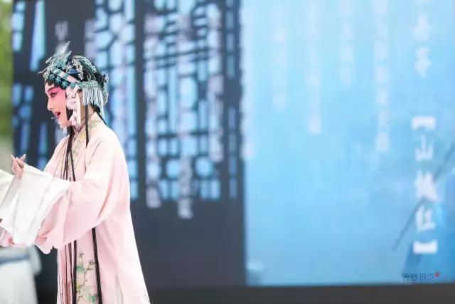 遇仙｜这个夏日，在神仙居，邂逅一场烟霞之约