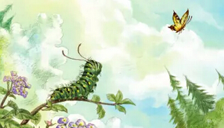 杨红樱作品适合孩子看吗,杨红樱的作品受孩子欢迎的原因