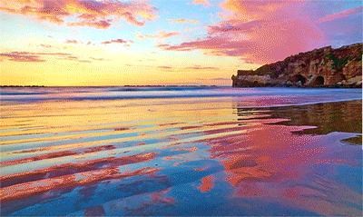 曾逐梦远方他乡，今逐梦丝路起点，物流园评论区已沦陷！