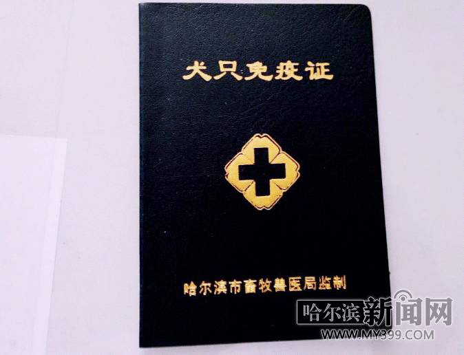 「爱犬」不花1分钱你的狗狗也能有“身份”了丨附8个*证办**地点及哈市禁养犬品种目录