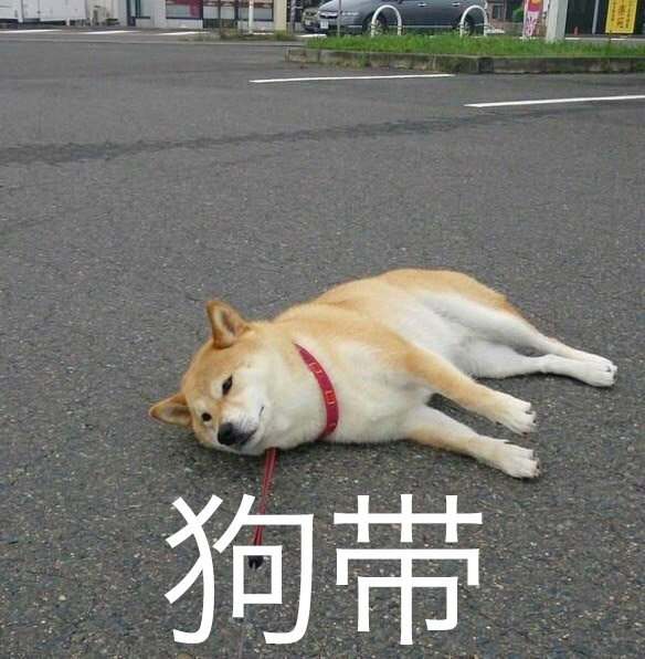 变形金刚续集最新进展,变形金刚还会有续集吗