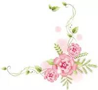 空调维修加氟费用,加个氟要多少钱