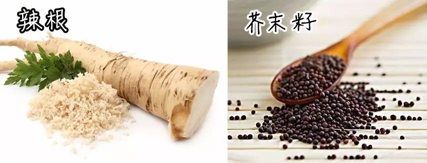 山葵芥末寿司,芥末寿司大战完整版