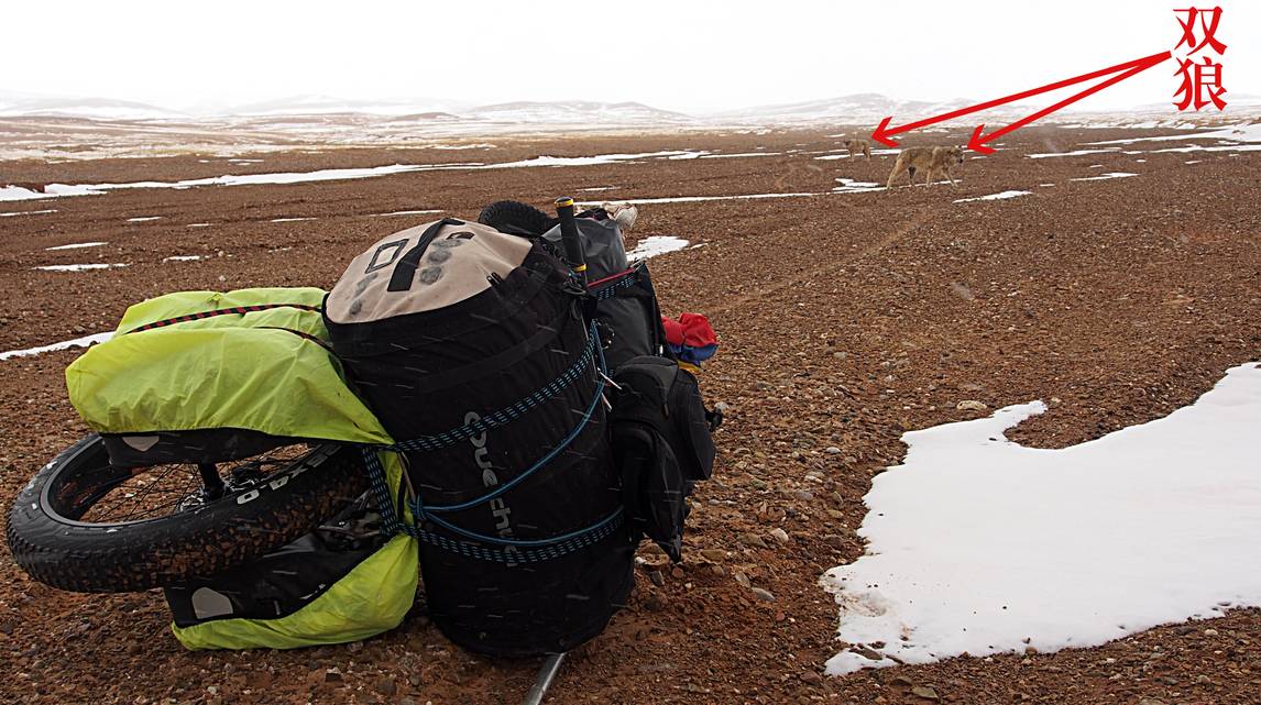 徒步穿越羌塘无人区纪实,穿越羌塘无人区纪录片