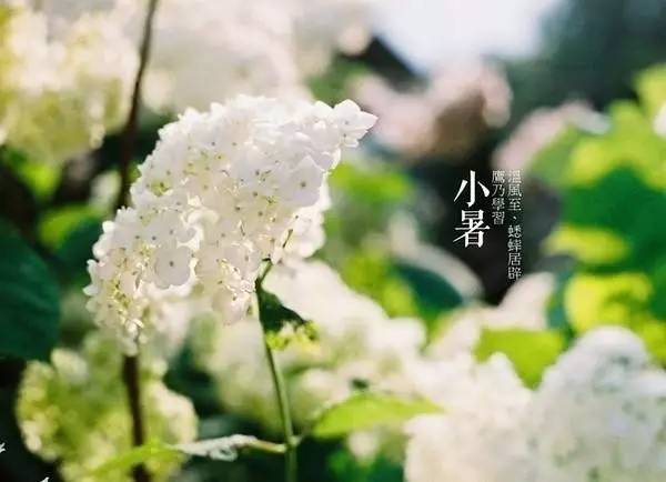 昌吉美食环境优雅,昌吉美食餐厅排行榜前十名