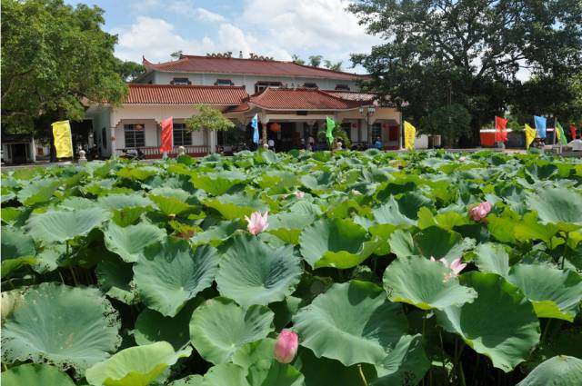 如何一天玩转东兴和越南,玩转东兴