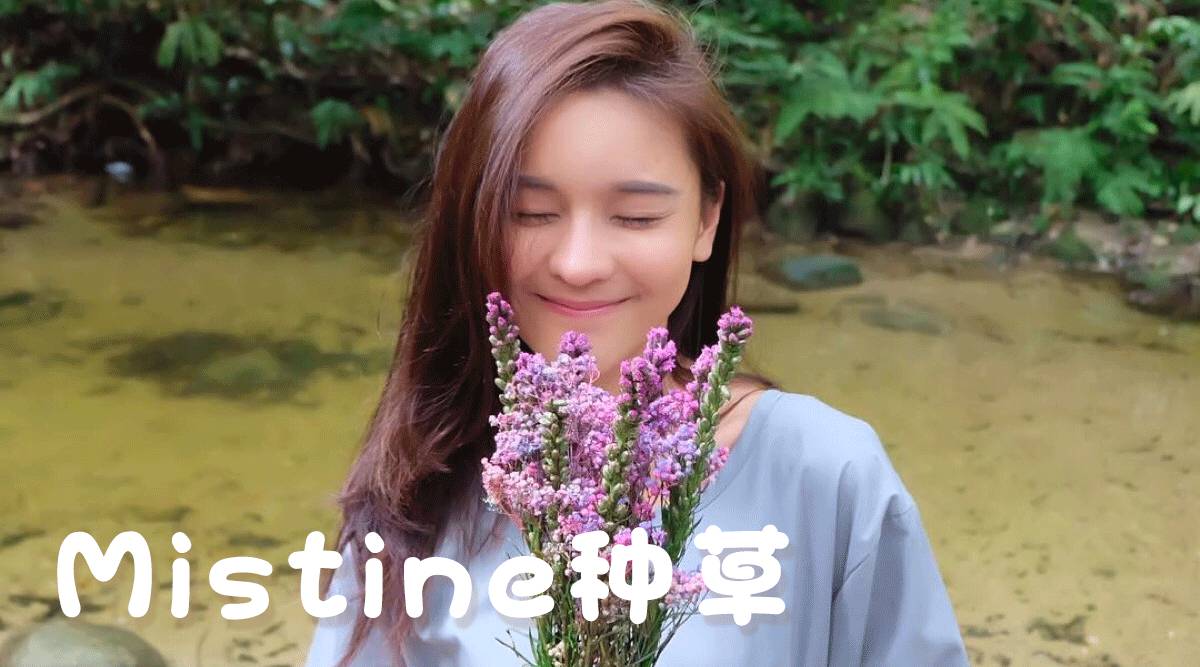 60元泰国必买口红,便宜又好用的泰国妆