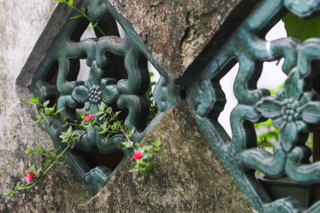 周浦沈庄老街,周浦镇老街还有吗