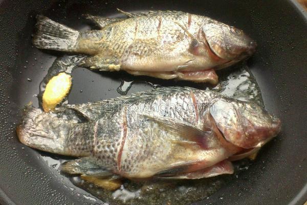 香煎鲫鱼用什么鱼最好,香煎鲫鱼汤