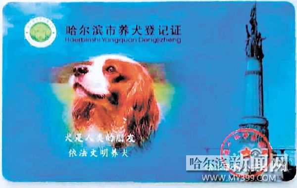 犬证犬牌哪里办理,城市办犬证有数量要求吗