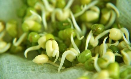 昌吉美食环境优雅,昌吉美食餐厅排行榜前十名