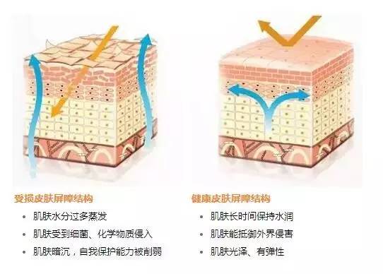 如何摆脱敏感的心理看什么书,怎样摆脱敏感的心理