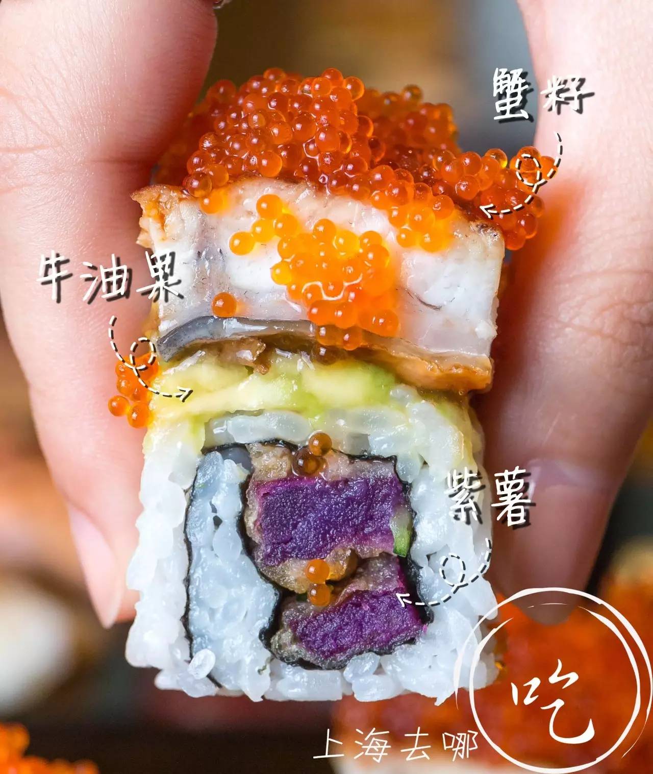 山葵芥末寿司,芥末寿司大战完整版