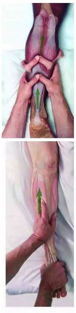 跑后总出现肌肉疲劳,小腿肌肉紧绷僵硬是什么原因