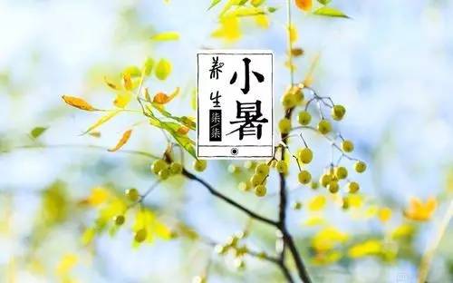 昌吉美食环境优雅,昌吉美食餐厅排行榜前十名