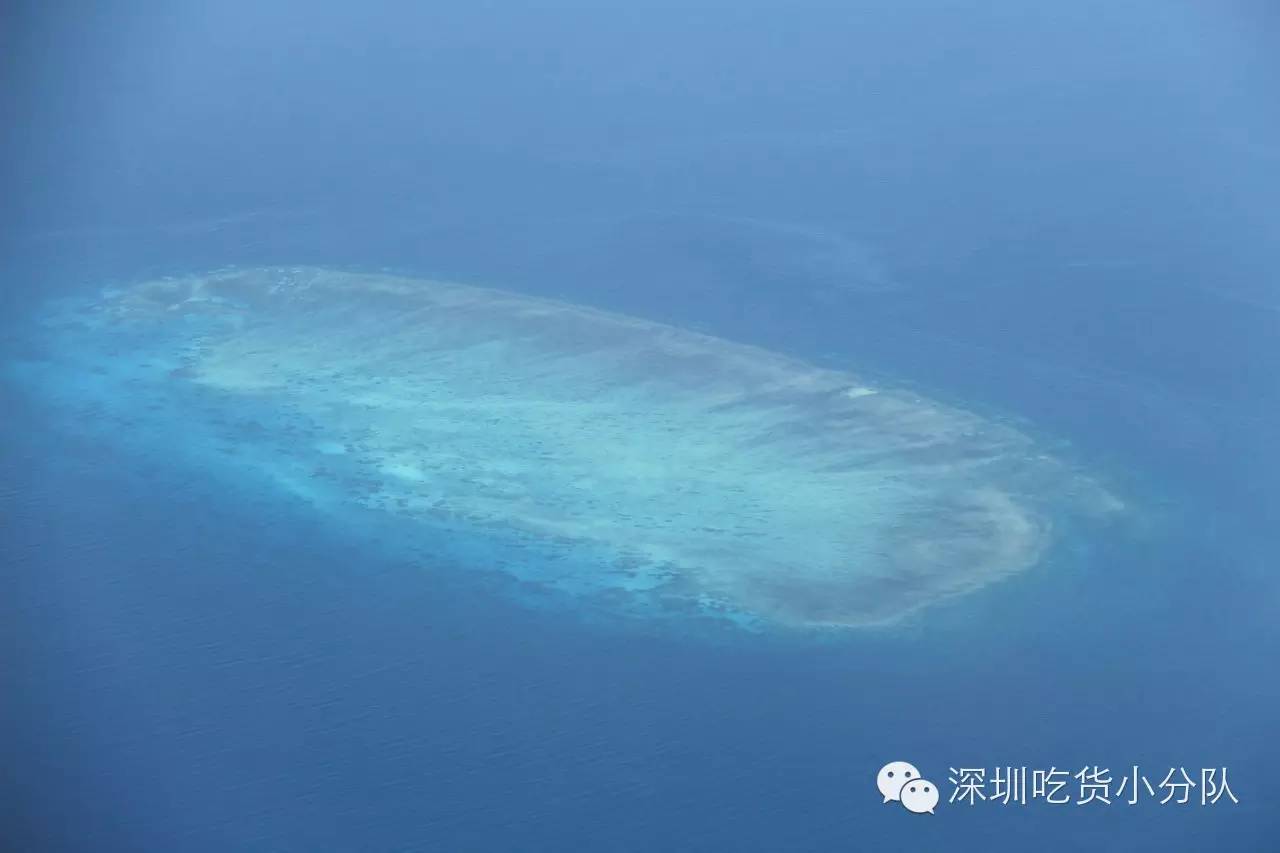 吃货浪游记丨我的胃说想去南半球看看~