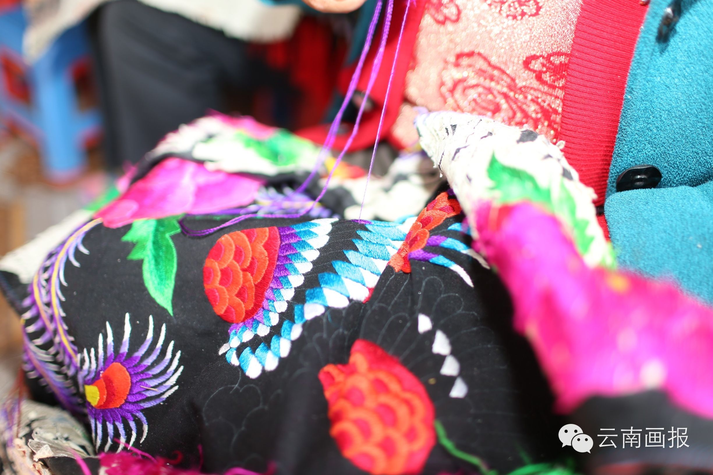 彝族非遗时装周,凉山彝族火把节时装秀