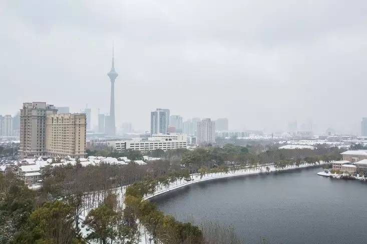非凡大气，亲切如故|万丽天津宾馆体验记