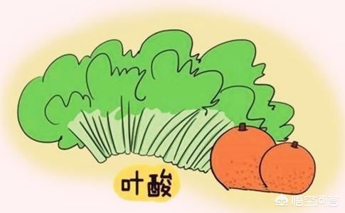 备孕饮食建议,备孕饮食关注事项和建议