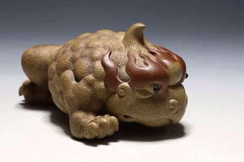 金蟾的饲养办法是什么,金蟾怎么饲养