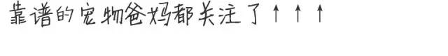 元宵节，谁是你心中的“小汤圆”？