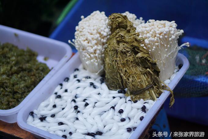 凤凰三日游详细旅游路线,凤凰三天游