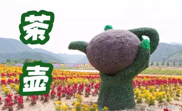 刘家旺普罗旺斯薰衣草花海,法国普罗旺斯薰衣草花海唯美视频