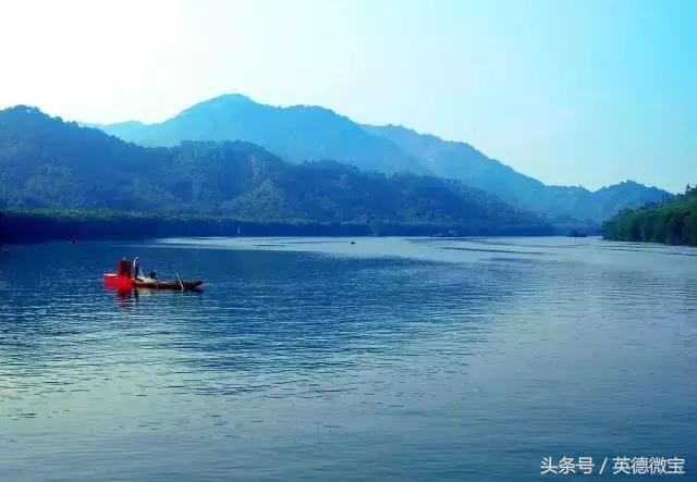 刘家旺普罗旺斯薰衣草花海,法国普罗旺斯薰衣草花海唯美视频