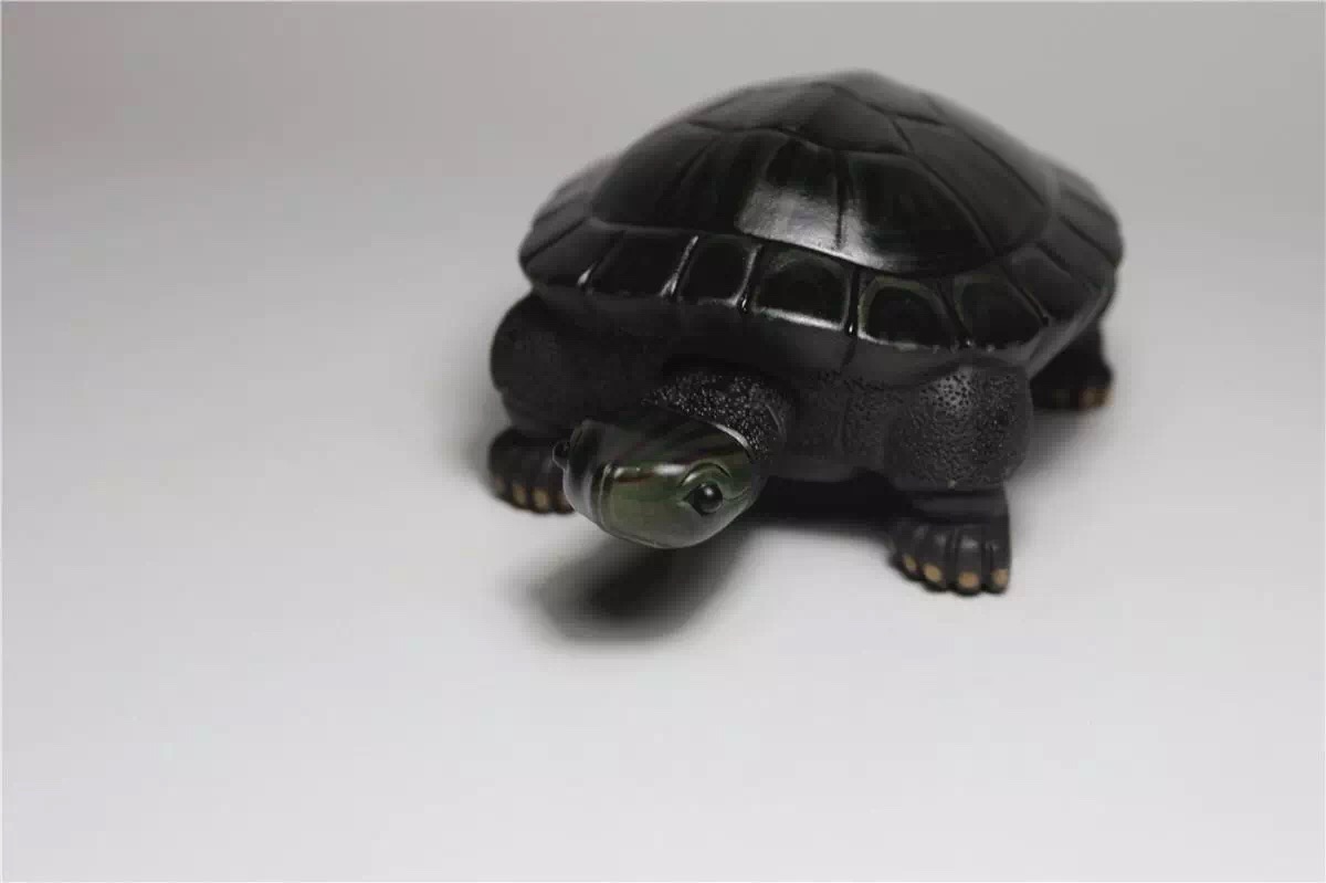 普洱养什么茶宠,茶宠能用普洱生茶养吗