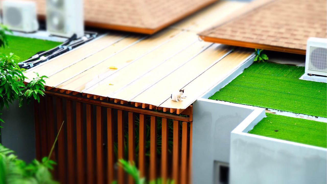 如何在普吉岛安装材质包,在普吉岛如何用人民币换泰铢