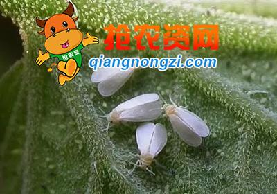 当今的农民最怕的是什么,农民最怕什么