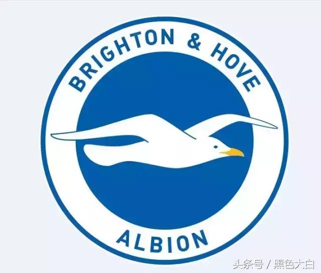 宁做凤尾不做鸡头辩论视频,宁做凤尾不做鸡头辩论口号