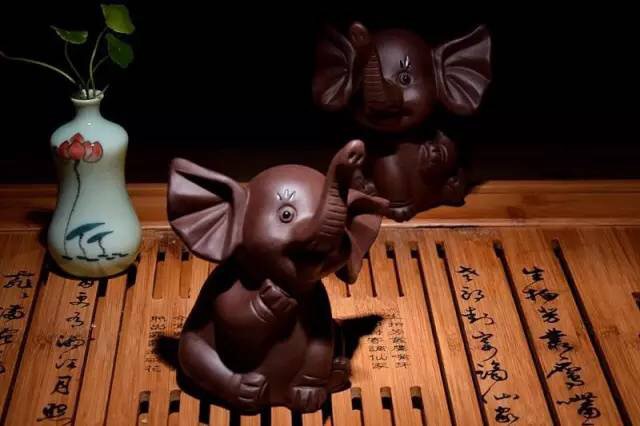 普洱养什么茶宠,茶宠能用普洱生茶养吗