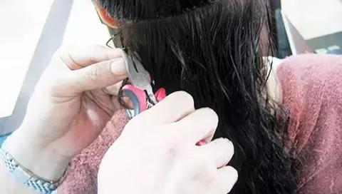 有白发植发和假发哪种好,植发和补发增发哪个好