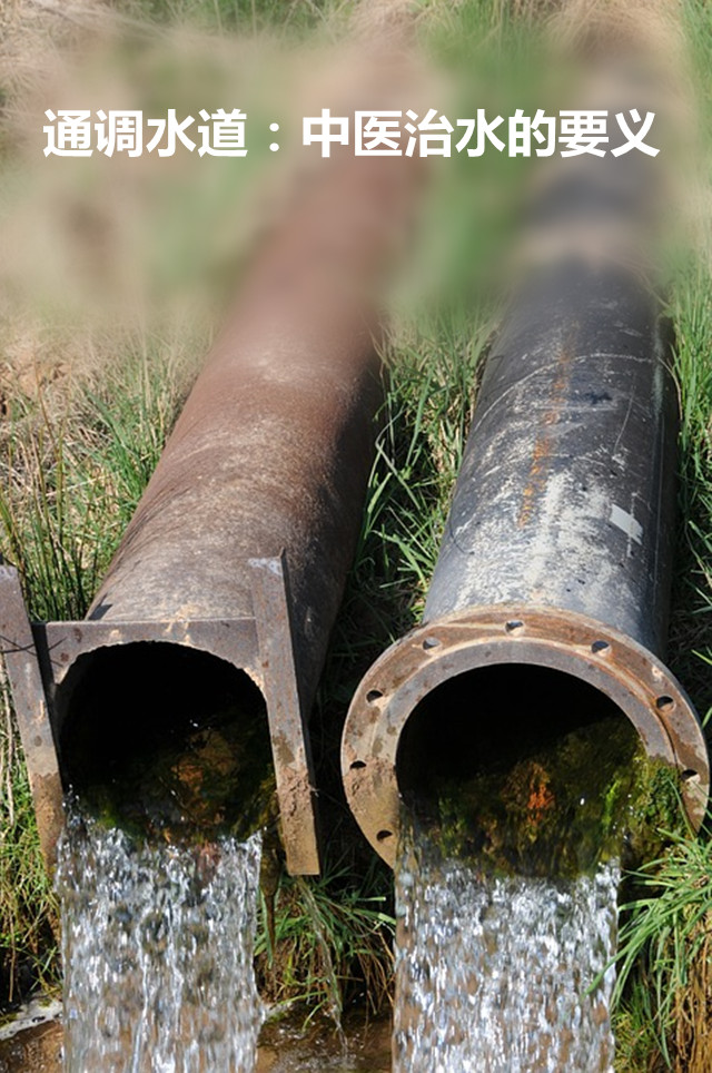 从这个经典的方剂开始，理解中医是怎么治疗水肿（阳水）的！