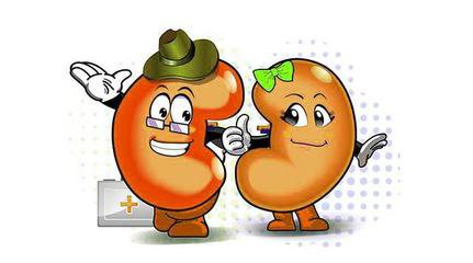 食疗方法降肌酐,2种方法简单粗暴让肌酐轻松降落