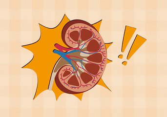 食疗方法降肌酐,2种方法简单粗暴让肌酐轻松降落