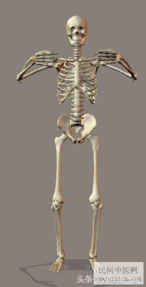 站桩健身养生视频,站桩锻炼的正确方法