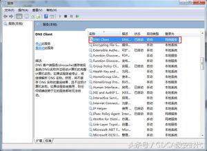 手机dns服务器未响应是什么意思,笔记本dns服务器未响应什么意思
